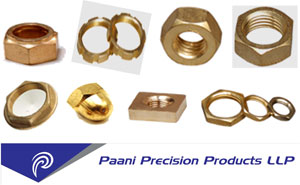 HEX-NUT | Paani Precision Products LLP.