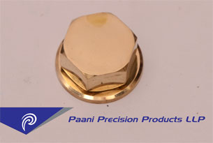 BRASS-HEX-CAP-SMALL | Paani Precision Products LLP.